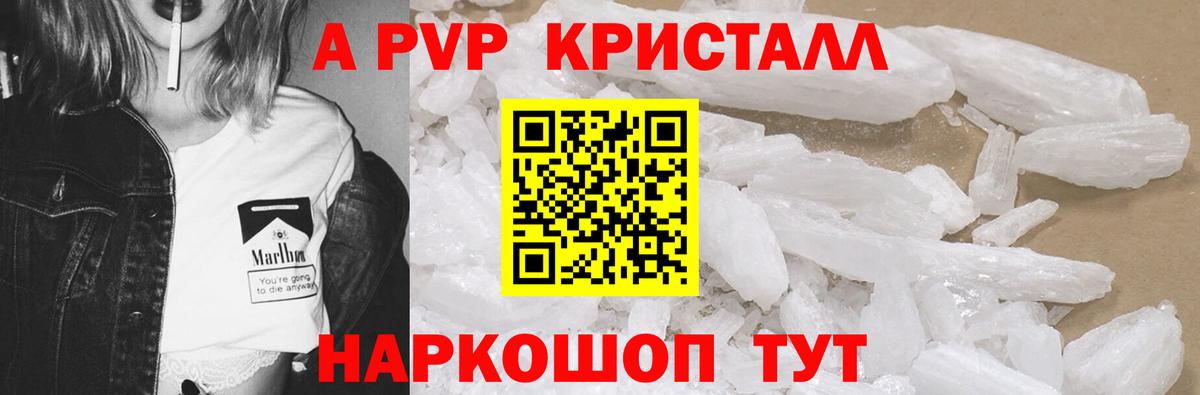 Альфа ПВП СК КРИС Архангельск
