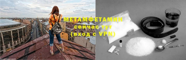 прущие грибы Инта