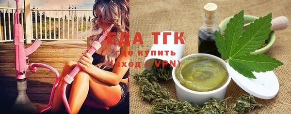 индика Инсар