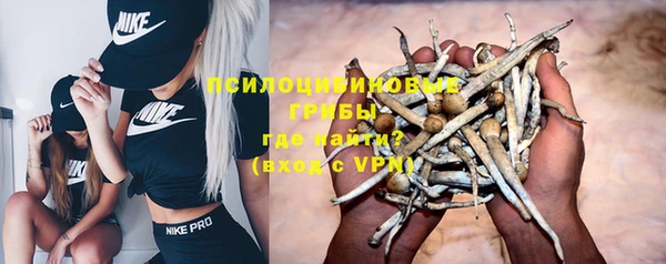 сатива Россошь