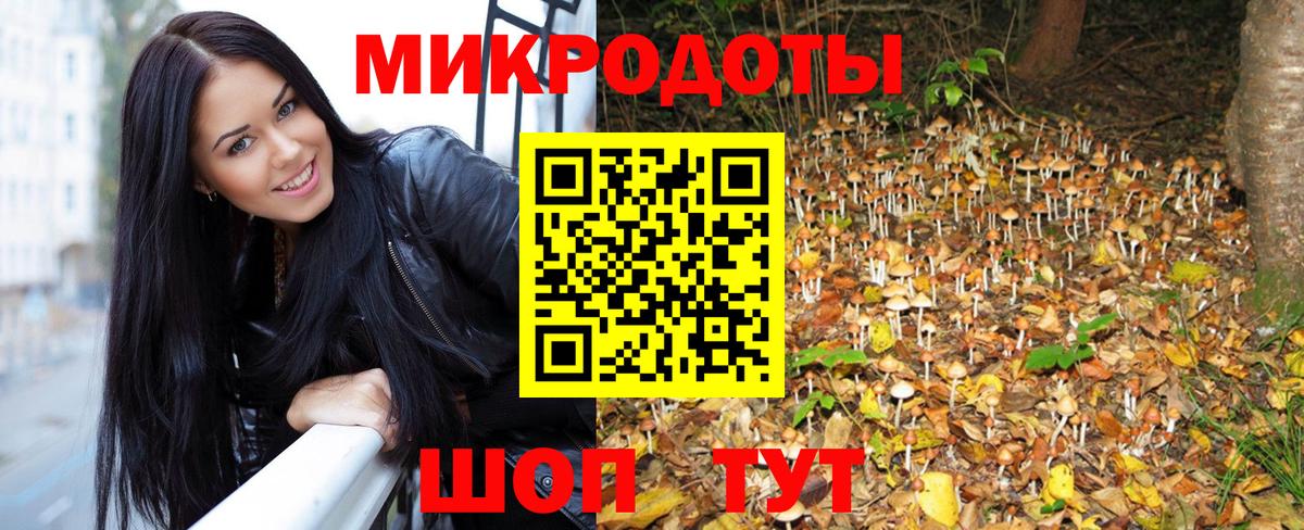 Галлюциногенные грибы мицелий Архангельск